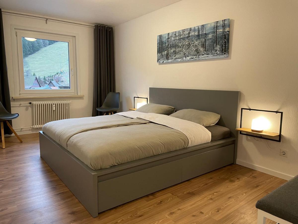 Апартаменты Breeman Im Harz Санкт-Андреасберг Экстерьер фото